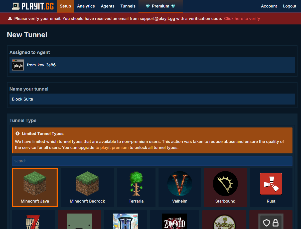 Playit.gg dashboard — creating a new Minecraft tunnel with origin settings