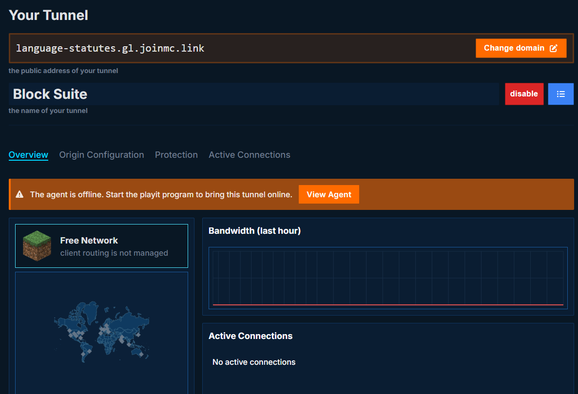Playit.gg dashboard — Completed tunnel showing the assigned public address